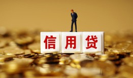 成都生意私人放款联系方式-成都生意私借上门放款-成都生意私人借钱短借微信号